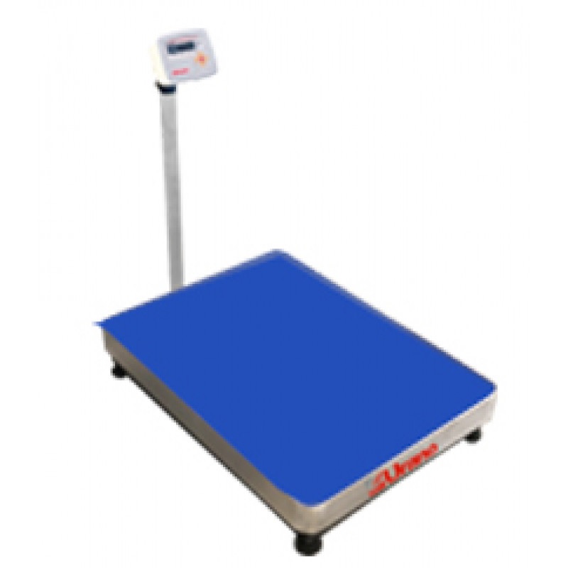 Daisy on the Ohoopee