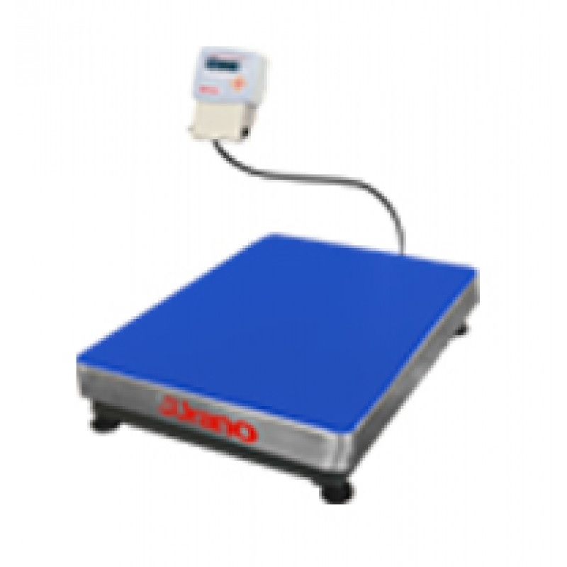 Daisy on the Ohoopee