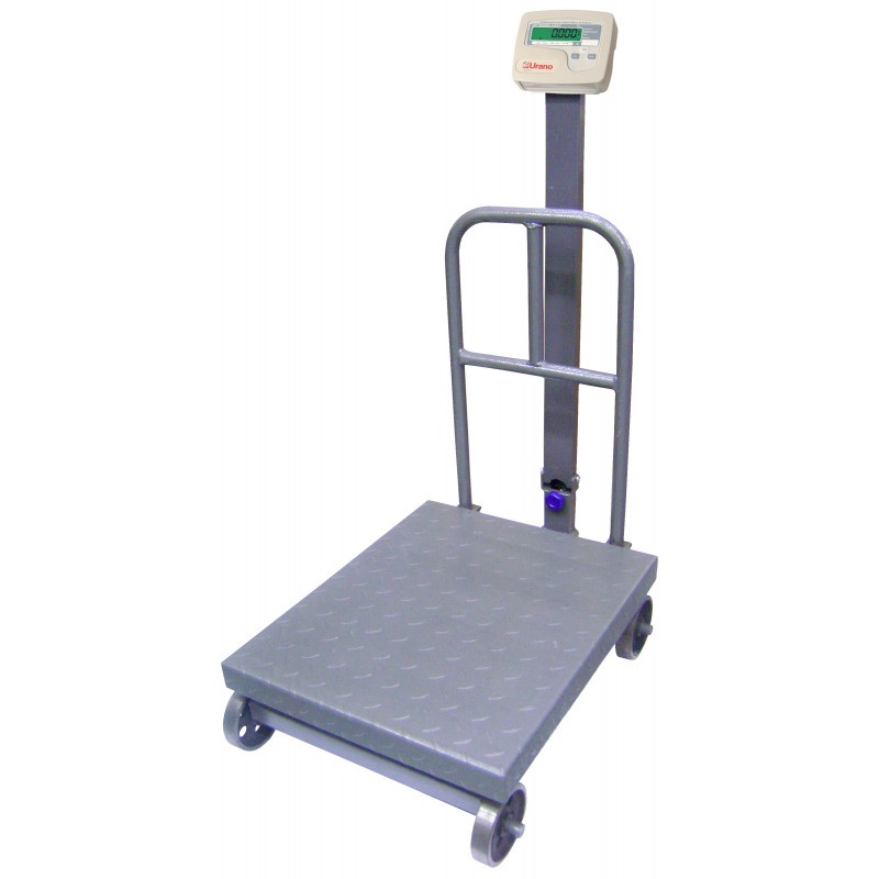 Daisy on the Ohoopee