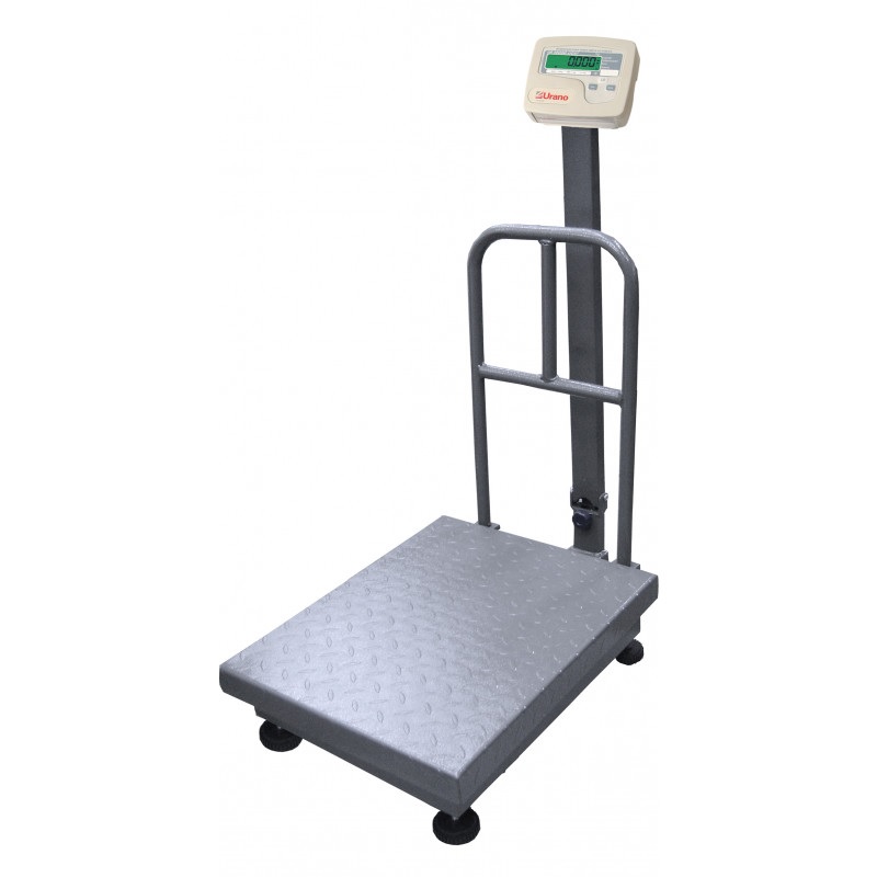 Daisy on the Ohoopee